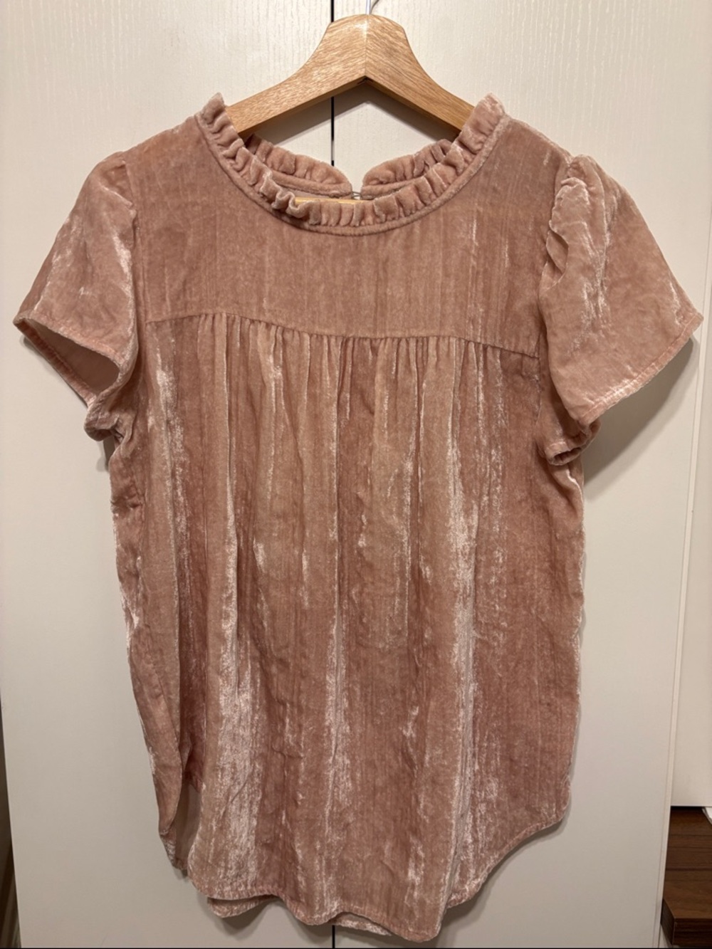 Velvet Ruffle Neck Short Sleeve Top - Blush Pink - S